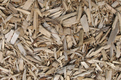 biomass boilers Ladyoak